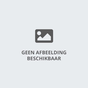 springkussen-met-glijbaan-prinses-huren
